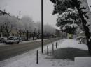 neve vezzano sul crostolo